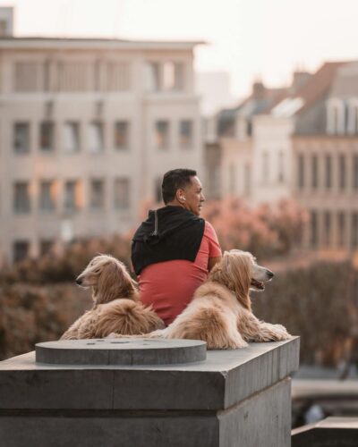 A man sits with two Afghan Hounds on a city ledge in Brussels during the day.