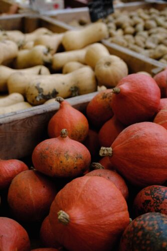 A close-up view of fresh pumpkins and squash at a market, showcasing a vibrant autumn harvest.
