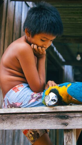A young boy sits quietly with a colorful macaw on a wooden bench, captured in a rustic setting.