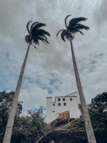 Low angle view of towering palm trees framing a historic white building against a cloudy sky in Brazil.
