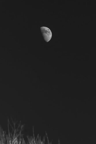 Captivating monochrome photograph of a half moon against a dark night sky.