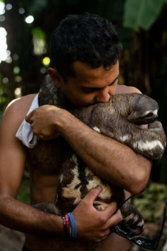 A shirtless man embraces a sloth in the rainforest of Iquitos, Peru, illustrating a moment of wildlife connection.