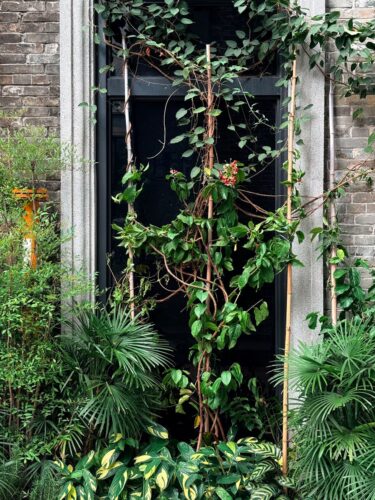 Vibrant plants and vines on a brick urban building facade create a lively green scene.