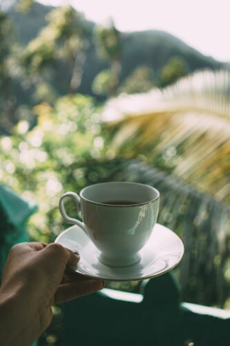 A hand holds a coffee cup, surrounded by lush greenery in a tranquil outdoor setting.